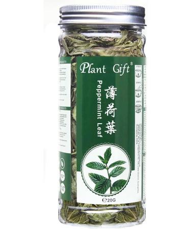 100% Dried Peppermint Leaves 20G/0.7oz | Feuilles de menthe hach es s ches de haute qualit | Feuilles de menthe 100% naturelles | Feuilles de th la menthe - Buy Online on GoSupps.com