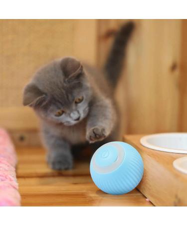 2PCs Power Ball 2.0 Cat Toy - Interactive Rotating 360 Automatic Cat Toy for Fun & Exercise | Aiveys - Buy Online on GoSupps.com