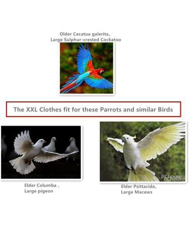 Kuso Parrots Diapers | Reusable & Washable Flight Suit Kimono for Budgies Nymphensittich Kakadu African Aras & Sun Sail (XXL Green) - International Shipping Available - Buy Online on GoSupps.com