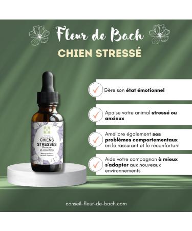 Floral Elixir Blend for Stressed Dogs - Quickly Comfort Your Dog. This Blend is a Natural Anti-Stress for His Daily Life (30ML) Pack of 2 - Buy Online on GoSupps.com