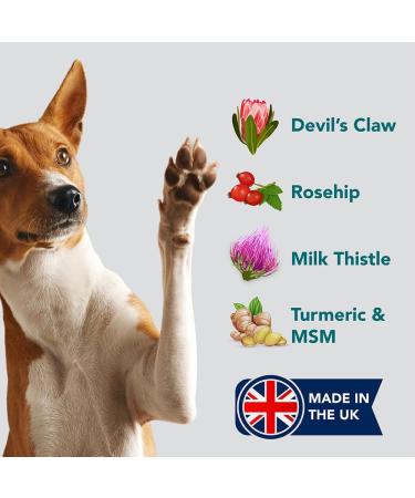 The Healthy Dog Co Joint Supplements for Dogs with Turmeric - 100ml - Buy Online on GoSupps.com