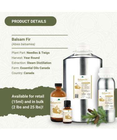 Balsam Fir Essential Oil (15ml) - Direct from Our Farm Partner in Canada - Essential Oils for Home, Humidifier, or Aromatherapy | Pure Therapeutic Grade Balsam Fir 0.5 Fl Oz (Pack of 1) - Buy Online on GoSupps.com