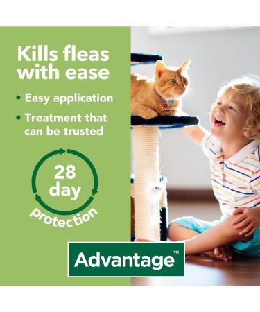 Advantage 40 Flea Spot On Treatment For Dogs Cats & Rabbits 1 Pipette 0.4ml 4kg - Buy Online on GoSupps.com