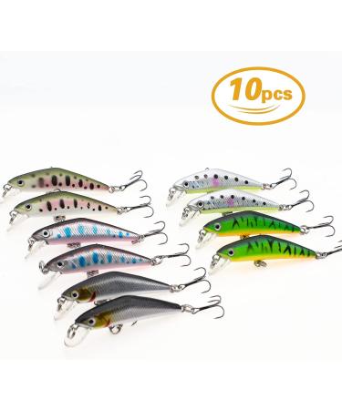 Fishing Lures Set - Minnow Popper Crank Baits Pencil Bass Trout with Hooks - Topwater Hard Swimbaits for Saltwater Freshwater - 10pc 2.68oz - Buy Online on GoSupps.com
