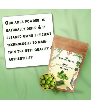 Indian Ayurvedic Amla Extract Powder 4 Oz / 0.25 lb Amla Extract 4 Ounce (Pack of 1) - Buy Online on GoSupps.com