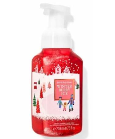 Bath & Body Works Gentle Foaming Hand Soap Winter Berry Ice 8.75oz