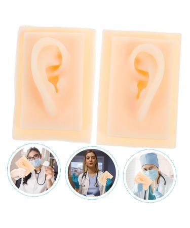 Beavorty Ear Presentation Model - Silicone Ear Mold for Hearing Aid Display & Teaching - International Shipping Available - Buy Online on GoSupps.com