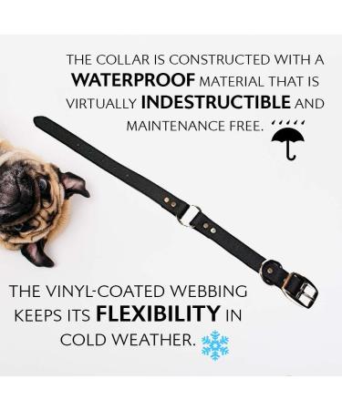 Regal Dog Waterproof Halfband Collar - Durable Black Collars for Small Medium & Large Dogs | Perfect for Puppies & Adult Dogs - Buy Online on GoSupps.com