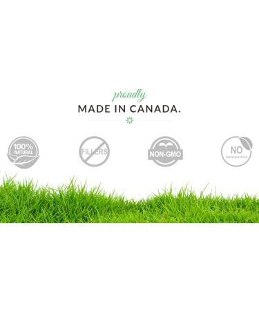 Nicotinamide Riboside | NAD+ Vitamin B3 Supplement | 300mg Nicotinamide Riboside (Vitamin B3) & 400mg Coenzyme Q10 Ubiquinone (CoQ10) Supports Cellular Repair Anti-Aging & Increased NAD+ | 30 Capsules (Pack of 1) 30 count (Pack of 1) - Buy Online on GoSupps.com