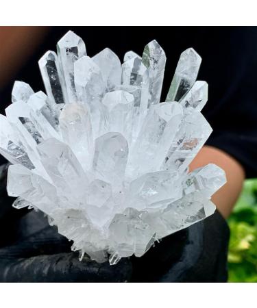 Natural White Phantom Quartz Crystal Cluster Samples heal Home Office Decoration ERBDRGAZ (Size : 1300-1500g) - Buy Online on GoSupps.com