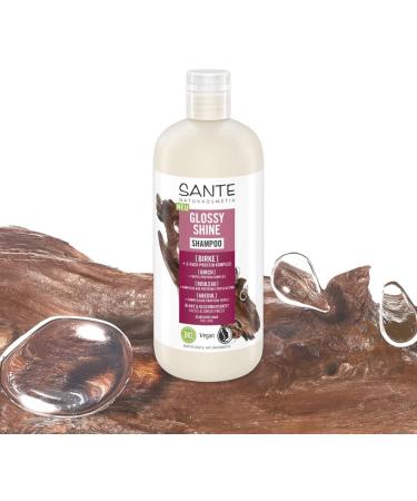 SANTE Naturkosmetik Glossy Shine Shampoo with Organic Birch Leaf Extract + Triple-Layer Protein Complex Vegan and Moisturizing Care for More Shine and Softness with - Buy Online on GoSupps.com