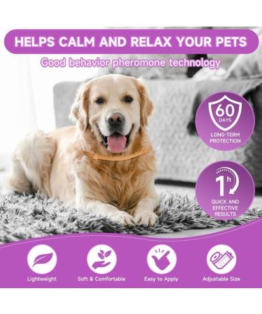 Shop Woyamay Calm Collar for Dogs | Adjustable Luminous Calming Collar with Pheromones | Natural Stress Relief for All Sizes (Orange 1 Piece) - Buy Online on GoSupps.com