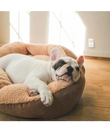 Buy Homedics Total Clean Personal Air Sanitizer - Effective Air Purification for Travel | Free International Shipping - Buy Online on GoSupps.com