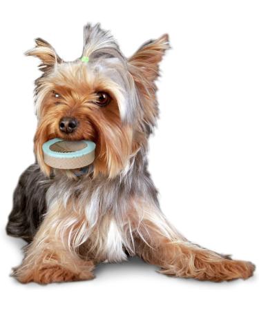 Omega Paw Solutions Dental Ring Small Green - Buy Online on GoSupps.com