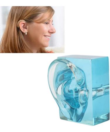 Buy Fake Right Ear Model - Wearable Acrylic Dummy Ear for Demonstration | International Shipping Available - Buy Online on GoSupps.com