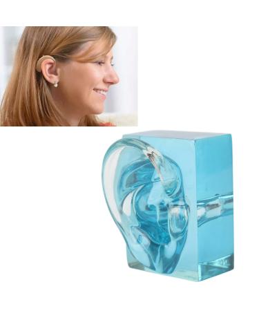 Acrylic Blue Transparent Waterproof Fake Ear Model Displays Right Ear Display Model for Sound Aids Model Displays for Sound Aids Earwax RemovalEar Care