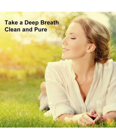 Woodknows Ultra-Actual Nose Filters - 3-Pack with 12 Replacement Narrow Filters (Size S) | Enhance Breathing Comfort - Buy Online on GoSupps.com