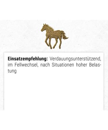 JOSERA Mash Premium High Flax Seed Grain Free Formula 2kg - Buy Online on GoSupps.com