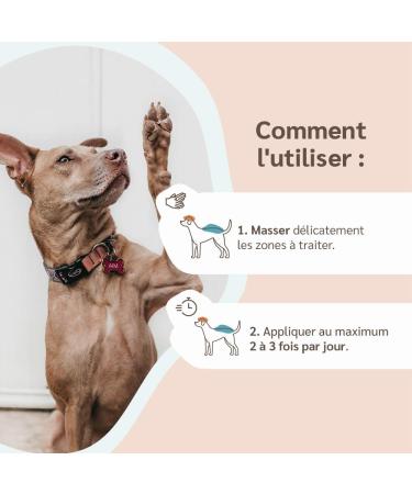 amusi Dog Pad Balm 100 ML - Dog Pad Protection with Calendula and Beeswax Healing and Repairing Function - Dog Pad Cream - Dog Truffle Balm - Buy Online on GoSupps.com