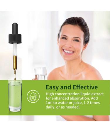 Herbmood Milk Thistle Liver Detox Drops - All-Nature Herbal Extract Liquid for Liver Cleanse & Repair - 2fl oz (Pack of 1) - Buy Online on GoSupps.com