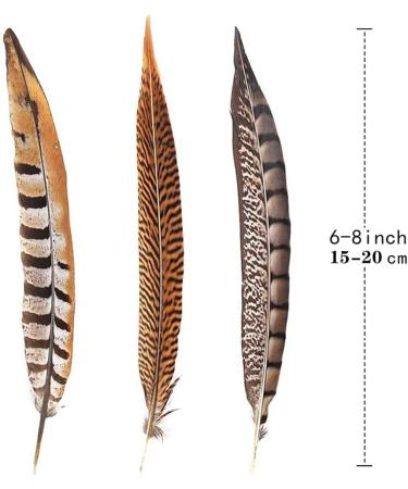 Flying Feathers Natural Pheasant Feathers 4 Style 15-20cm 12pcs for DIY Craft and Party Decor FF03 - Buy Online on GoSupps.com