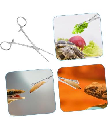 Levemolo Reptile Feeding Clip Lizard Stuff Aquarium Pipette Snake Tong Silver Stainless Steel - Buy Online on GoSupps.com