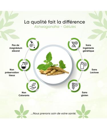 Ashwagandha 365 Capsules | Daily Serving 3000mg | Pill Box Included | Indian Sleeping Berry | High Dosed | Vegan | Pure Vegetable No Additives - Buy Online on GoSupps.com