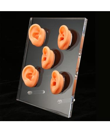 5Pcs Waterproof Soft Ear Model Displays for ENT Hospitals - Complete Tools Included - Buy Online on GoSupps.com