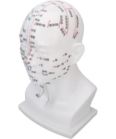 Buy Acupuncture Head Model with Point Markings | Ideal for Facial Treatments & Training Props - 11.8 inches Soft PVC - Buy Online on GoSupps.com