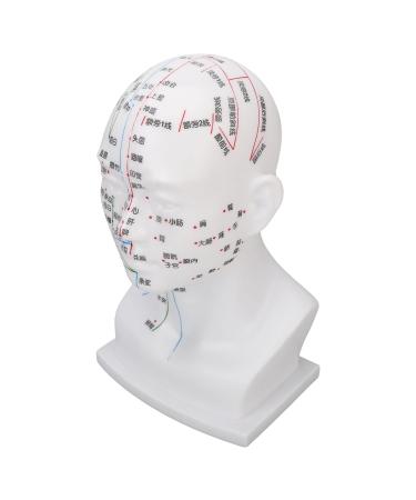 Acupuncture Point Head Model PVC White Facial Massage Meridians Teaching Props for Easy Observation and Learning 11.8 Inch