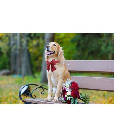 Lionet Paws Dog Collar Fly - Comfortable Silk XL Dog Collar with Removable Fly for XLarge Dogs (Neck 40-66cm) - Red - Buy Online on GoSupps.com