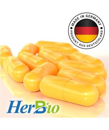 High-Dose Q10 Capsules - 120 Vegan Coenzyme Q10 - 100mg Per Capsule - Boost Vitality & Energy - Lab-Tested - 4-Month Supply - Buy Online on GoSupps.com