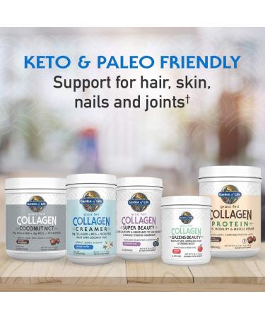 Garden of Life Grass Fed Collagen Creamer - Creamy Vanilla 11.64 oz | Premium Protein Boost - Buy Online on GoSupps.com