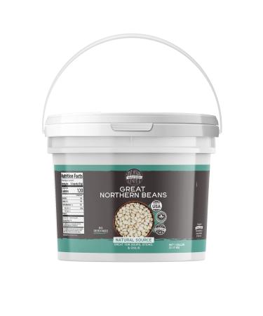 Birch & Meadow 1 Gallon of Great Northern Beans, Soups & Stews, Protein & Fiber 128 Fl Oz (Pack of 1)