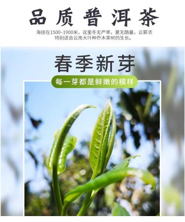 Pu-erh tea 2017 Menghai Spring Rhyme 357g Raw - Buy Online on GoSupps.com