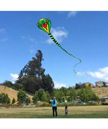 HENGDA KITE Large Power Snake Kite - 26 Ft Flying Line Outdoor Fun Sports - Buy Online on GoSupps.com