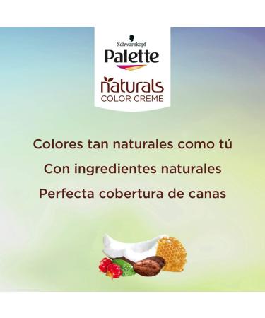 HENKEL IBERICA SA Schwarzopf Palette Naturals Color Cremes shades 688 intensely red permanent hair color optimal gray coverage natural colors - Buy Online on GoSupps.com