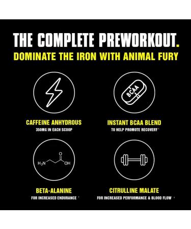 Universal Nutrition Animal Fury Pre Workout Booster - Green Apple | Caffeine Beta Alanine Citrulline BCAA | 500g Maximum Energy & Amino Acid Supply - Buy Online on GoSupps.com