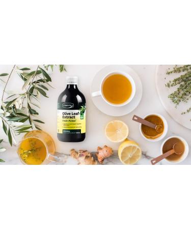 Comvita Natural Olive Leaf Extract 100g - Premium Health Supplement for Immune Support & Antioxidants - International Shipping Available - Buy Online on GoSupps.com
