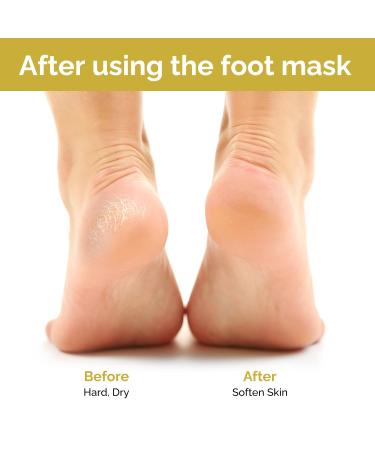 Spa Luxetique Lavender & Honey Foot Mask - Moisturizing Spa Socks for Soft Feet - 5 Pairs - Foot Care Set for Women & Men - Buy Online on GoSupps.com