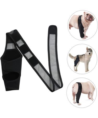 Abaodam 2pcs Comfy Brace Dog Joint Paw Butter Balm for Dogs Leg Supplies Front Legs Comfortable - Buy Online on GoSupps.com
