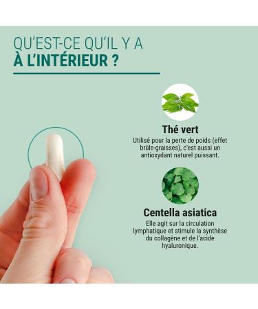 Naturathera - CENTELLA GREEN TEA - Dietary Supplement Cholesterol Circulation & High Blood Pressure - 90 Capsules - Dry Extracts - Made in France - Vegan - No GMO Allergen Additives - Buy Online on GoSupps.com