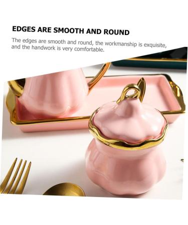 Zerodeko 1 Set Seasoning Jar Set Terrarium Fogger Seasoning Storage Jar Ceramic Seasoning Dish Holder Condiment Jars Salt Shaker Sugar Condiment Jar Stainless Steel Condiment Bottle Nordic 22.5X14CM Pink - Buy Online on GoSupps.com