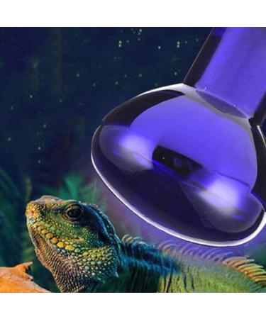 E27 Reptile Heat Bulb Infrared Heating Light Bulbs 25/50/75/100W UV Tortoise Turtle Light Beneficial UVA Basking Lamp Heat Bulb(25W Green) 25w Green - Buy Online on GoSupps.com
