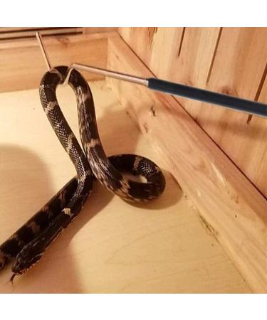 NA NA Snake Hook Retractable Snake Catcher Capture Hook Snake Rod for Outdoor Activities or Wild Adventures - Buy Online on GoSupps.com