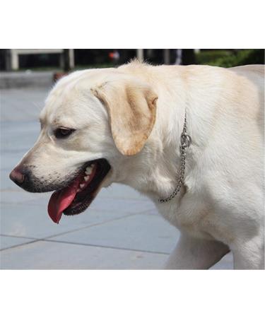 JYHY Stainless Steel P Chock Metal Chain Dog Necklace Collars Walking Training Pet Supplies for Small Medium Large Dogs Sliver 40cm 2.5mm*40cm Sliver - Buy Online on GoSupps.com