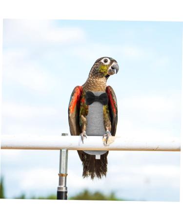 Shop Minkissy Flying Bird Diapers - Perfect for Small Animals Pigeons Macaws & Cockatoos | High-Quality Bird Harness & Costumes - International Shipping Available - Buy Online on GoSupps.com