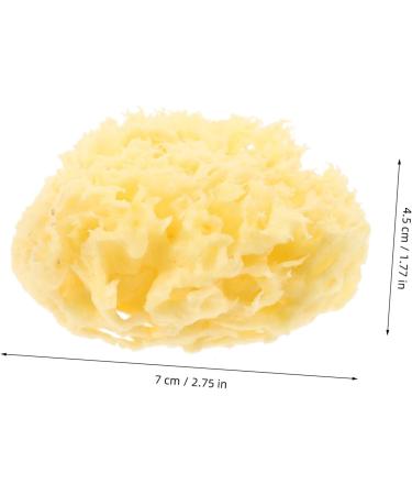 HAPINARY Moisturizer Body for Shower Natural Bath Sponge Bath Bath Sponge for Natural for Body Shower Sponge Sea for Bathing Sponge Bath - Buy Online on GoSupps.com