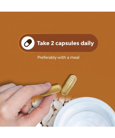 Natural White Kidney Bean Extract Capsules - Energy Booster & Antioxidant for Digestive Health - 60 Count - Buy Online on GoSupps.com