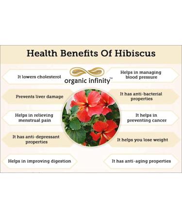 Green Velly Organic Infinity Hibiscus Flower Powder For Hair Growth Hair Care Natural Hair and Face Care - 100 GM by Organic Infinity - Buy Online on GoSupps.com